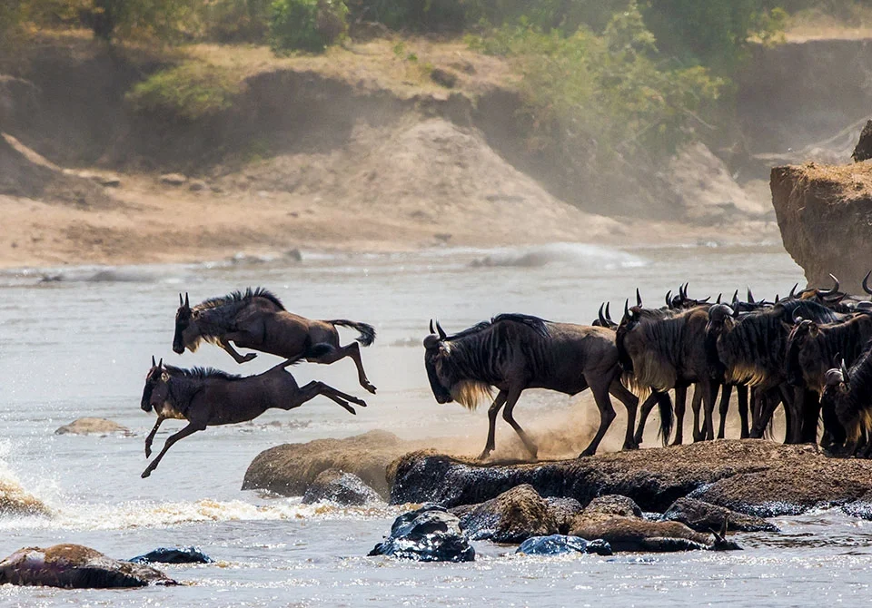 affordable-great-migration-safaris-in-east-africa