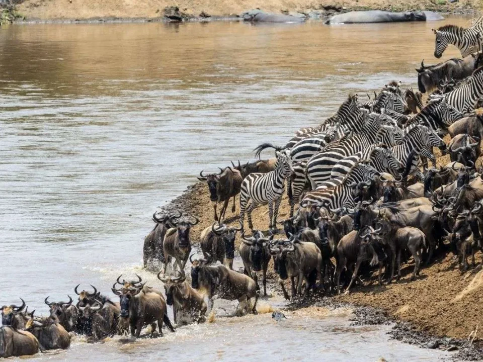 photography-guide-for-the-great-migration-safari