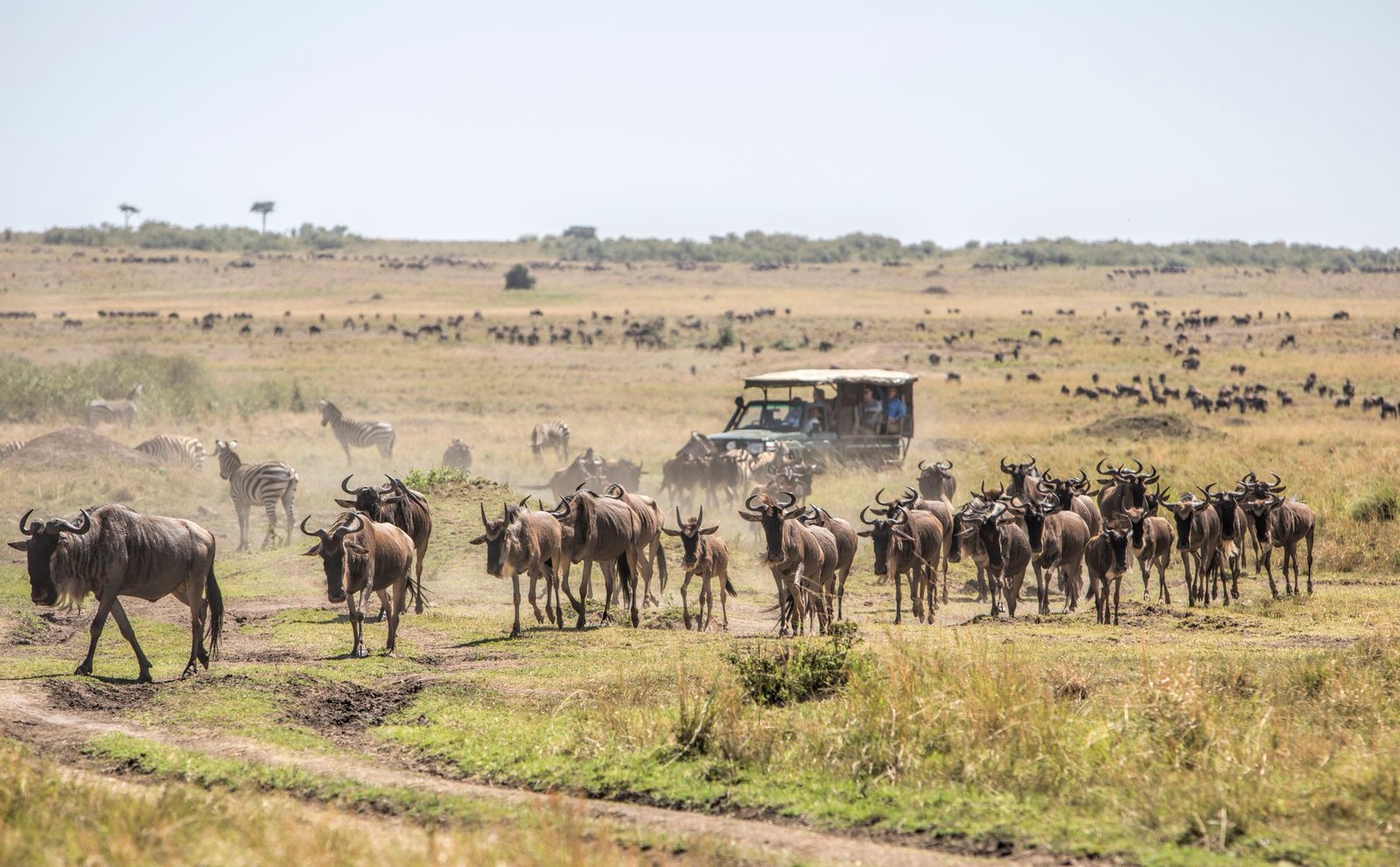Marsabit National Park